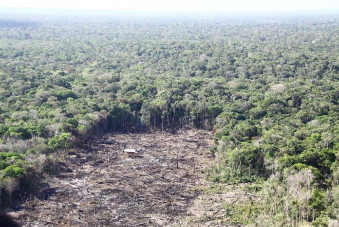 amazonia