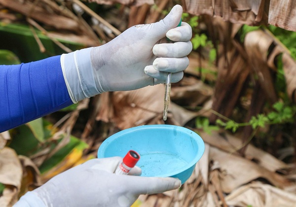 09_11_2021_Agentes-De-Endemia-Combate_Dengue_Fot-Bruno-Concha_Secom_Pms-16
