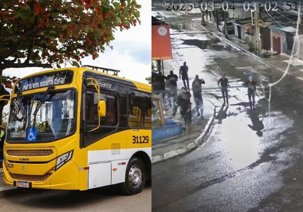 montagem-coutos