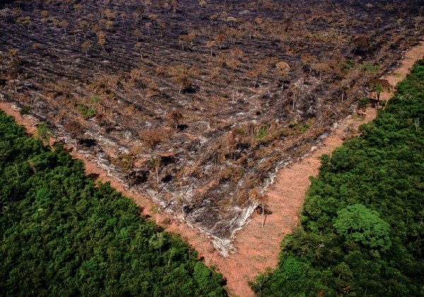 Amazônia-desmatamento (1)
