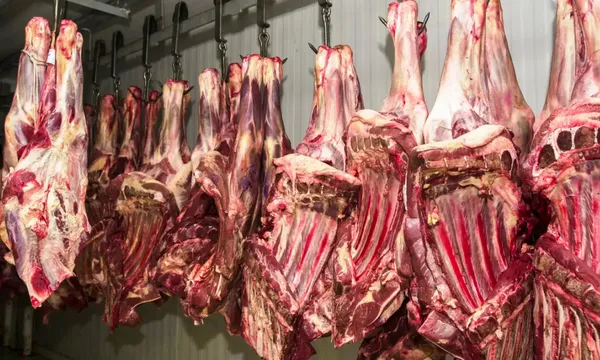 carne infectada (1).png (1)