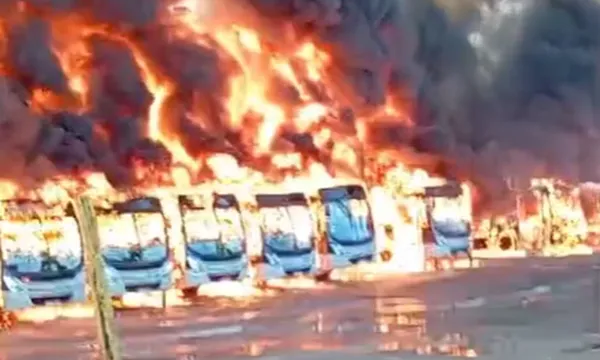 Onibus (2)