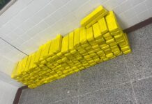 Mais de 180 tabletes de maconha são apreendidos dentro de freezer na Bahia